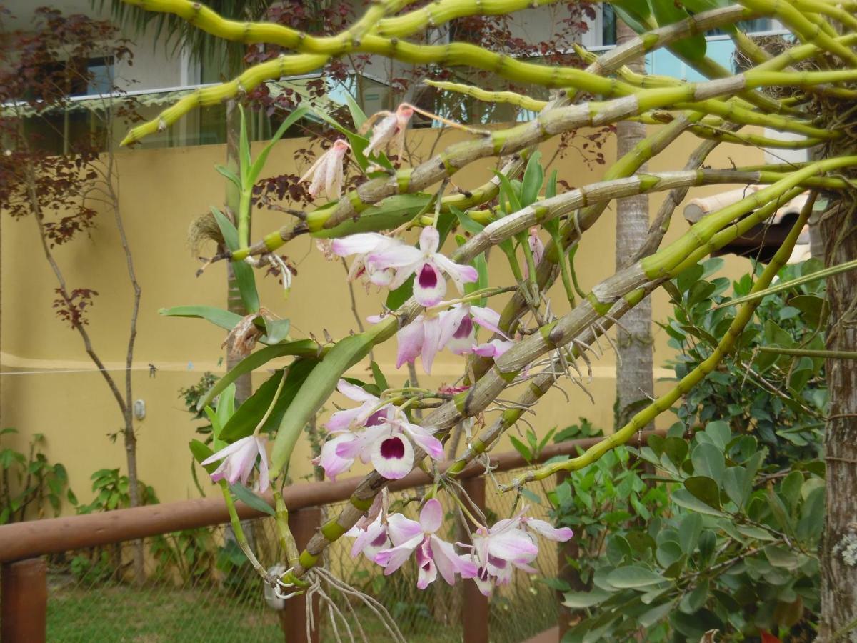 Morada Dos Ventos Inn Bombinhas